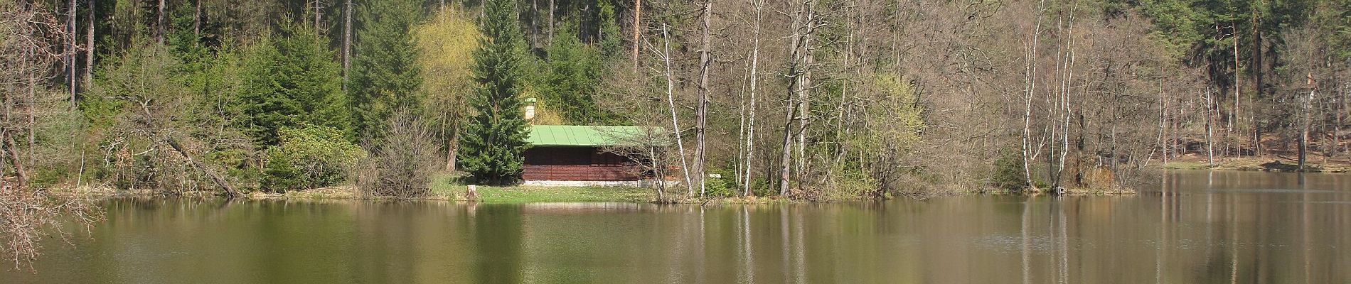 Randonnée A pied Louňovice - NS - Voděradské bučiny - Photo