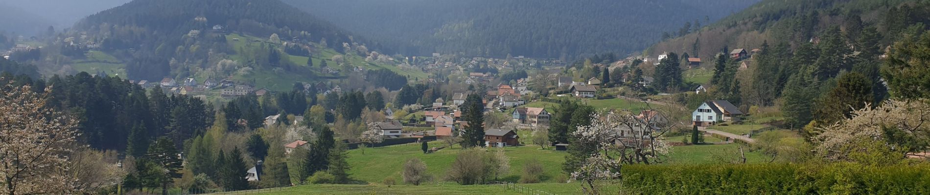 Randonnée Marche Wangenbourg-Engenthal - Le donjon du Wangenbourg - Photo