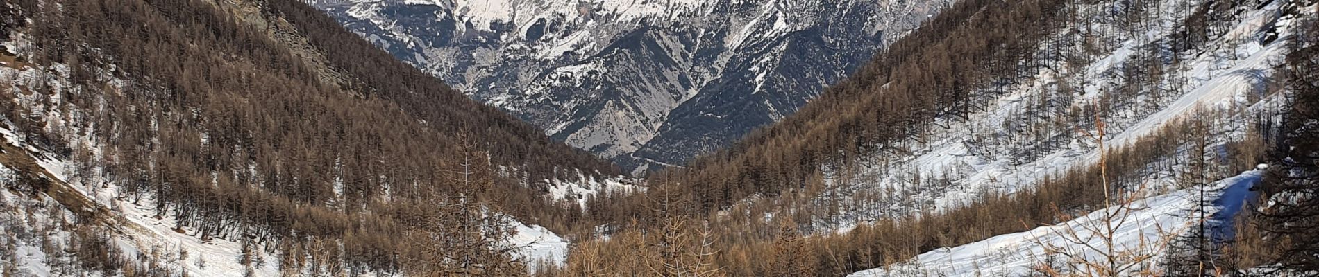 Percorso Racchette da neve Puy-Saint-Vincent - le vallon de Narreyroux - Photo