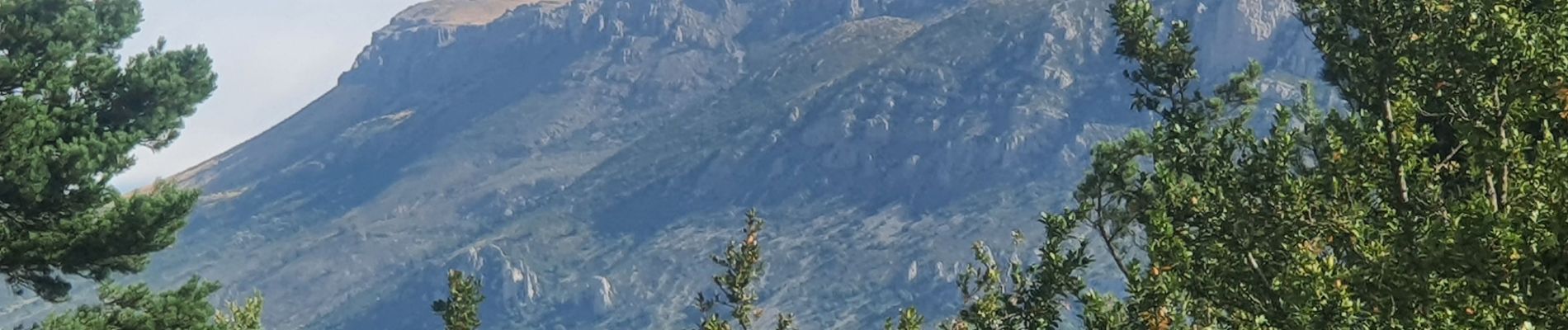 Tocht Stappen La Palud-sur-Verdon - 01-08-2023 Tour Cime de Bardin  - Photo