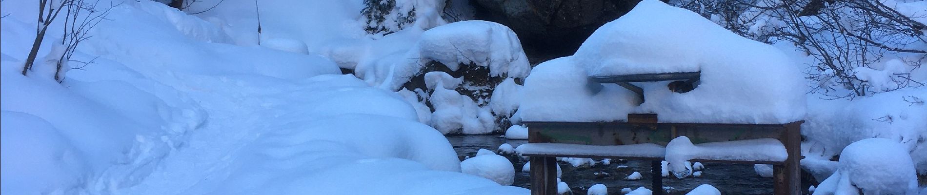 Excursión Raquetas de nieve Orsières - Champex Lac - Arpette - Champex Lac - Photo