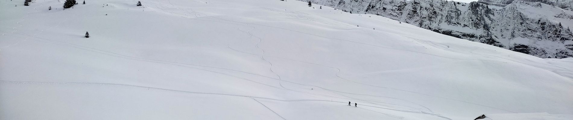 Randonnée Ski de randonnée Samoëns - 2025-01-30 Sortie Ski de Rando Col de la Golese - Photo