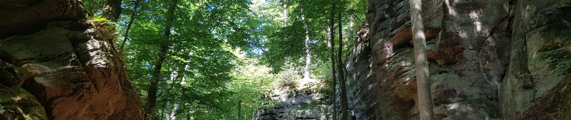 Tour Wandern Berdorf - Berdorf - B2 - Müllerthal - Photo