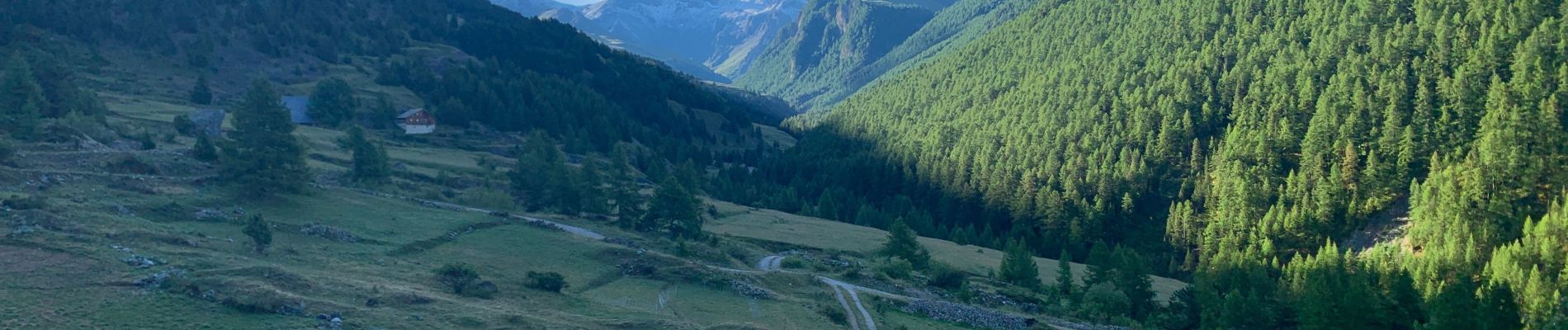 Trail Walking Ceillac - Tête de la Cula - Photo