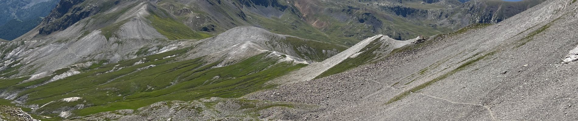 Tocht Stappen Saint-Dalmas-le-Selvage - Tête de l’Enchastraye - Photo