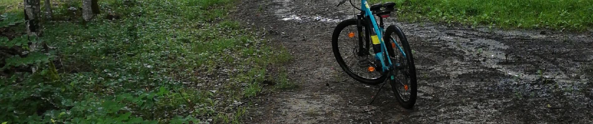 Percorso Bicicletta elettrica Domèvre-sur-Vezouze - repérage rando equiplaine 11 juillet 21 - Photo