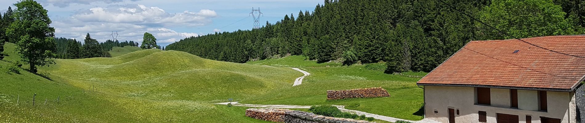 Randonnée Marche Les Moussières - jura 22 juin19  hors piste - Photo