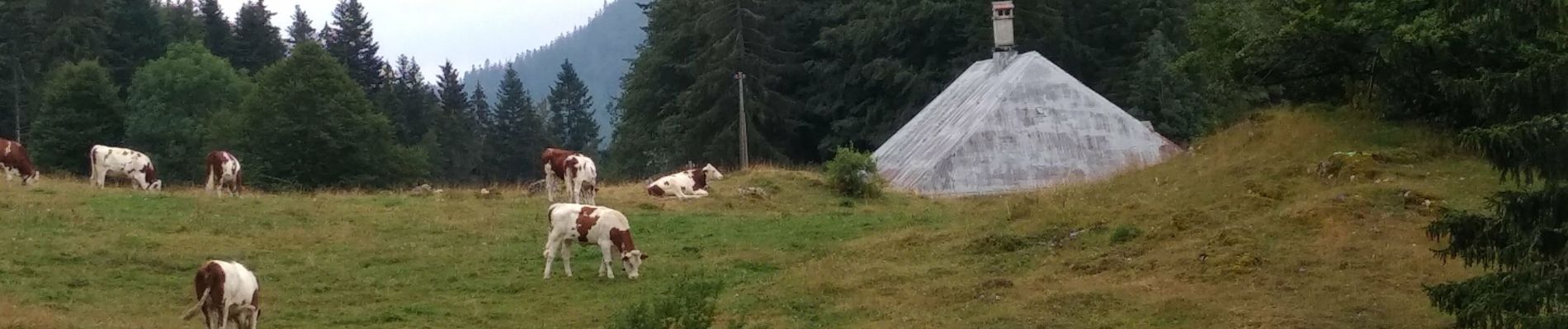 Percorso Marcia Vallorbe - Vallorbe La Dent du Vaulion Fort du Pré Giroud 4 août 2020 CAF - Photo