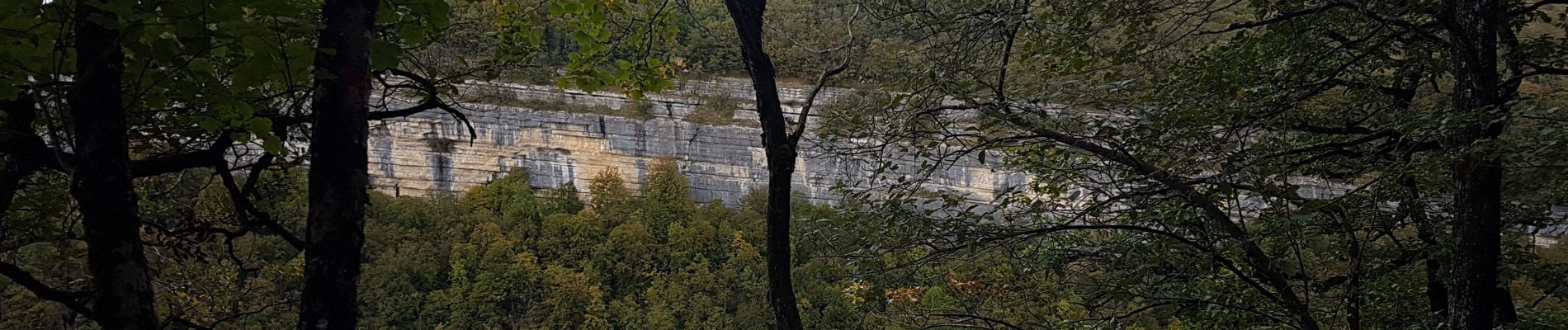 Tocht Stappen Bonlieu - Cascades du Hérisson - Photo