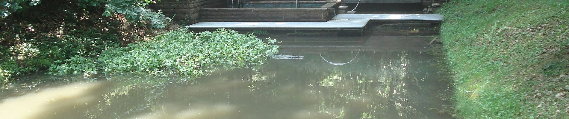 Randonnée A pied Röllbach - Schwarzer Keiler Rundweg Röllbach - Photo