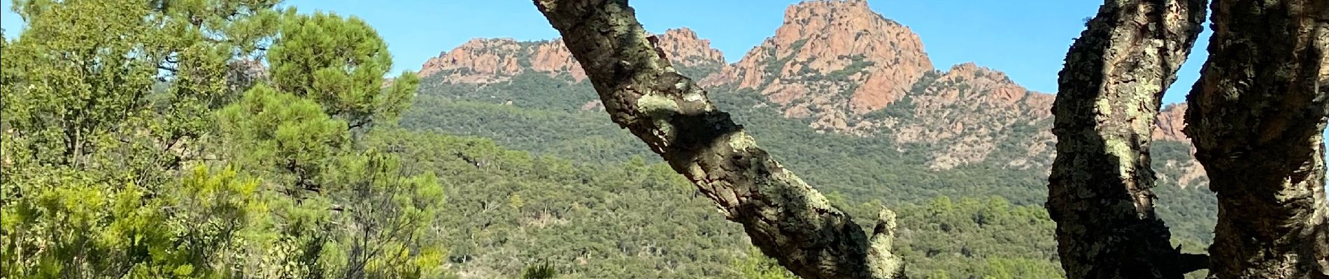 Randonnée Marche Roquebrune-sur-Argens - Les 25 ponts - Photo