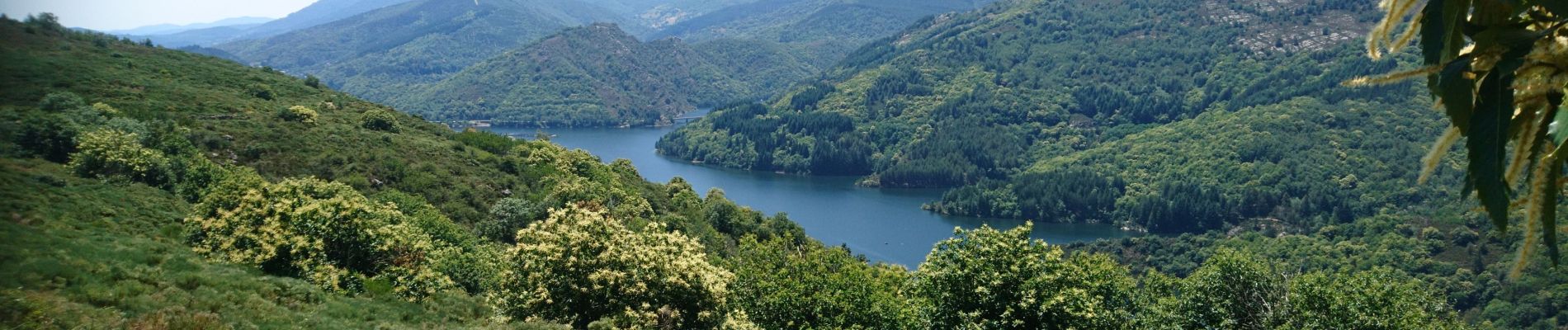 Tour Wandern La Bastide-Puylaurent - de la bastide puylaurent à villefort gr700 - Photo