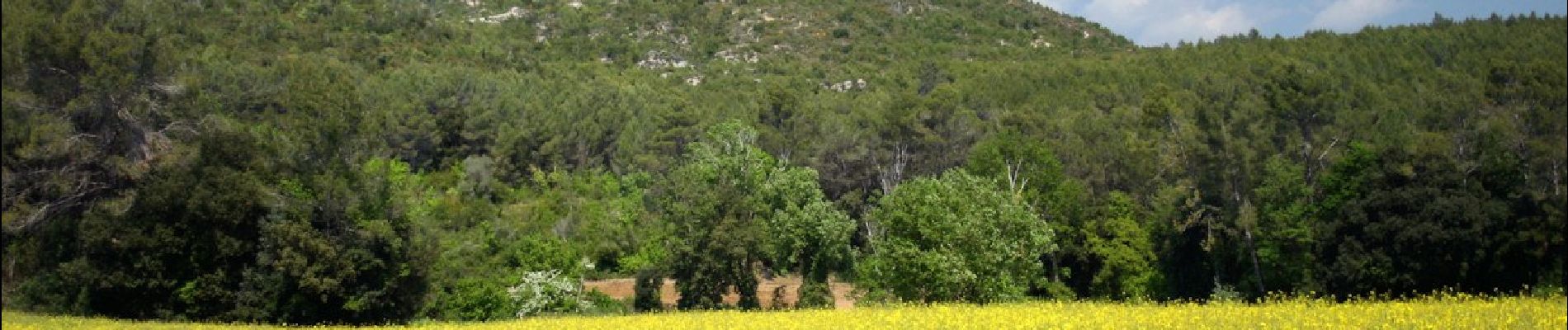 Excursión A pie Porqueres - Ruta de l’Estany a les coves de Serinyà - Photo