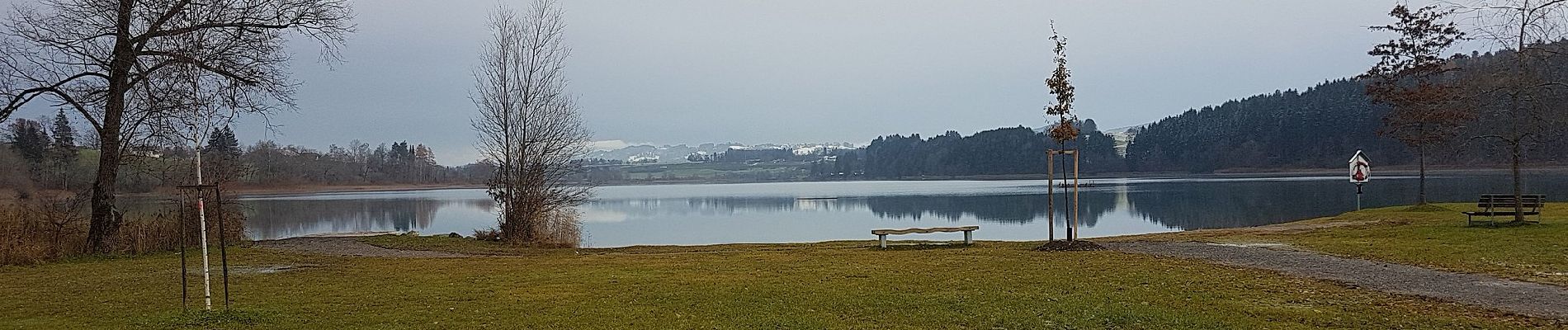 Tocht Te voet Waltenhofen - Seerundweg - Photo