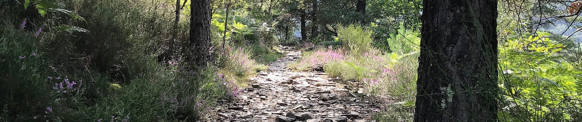 Percorso A piedi Saint-Mélany - Le sentier des Lauzes - Photo