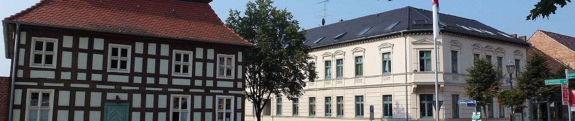 Tour Zu Fuß Schorfheide - Gelber Strich - Photo