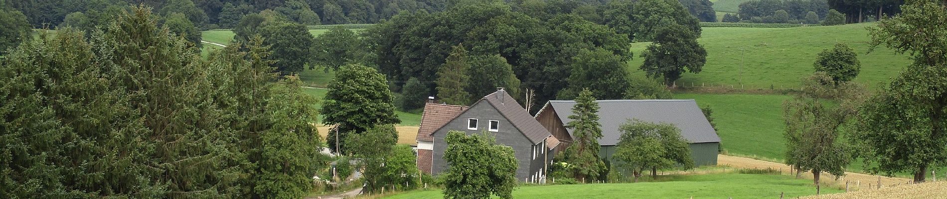 Tocht Te voet Hattingen - (L) Rundweg um Langenberg - Photo