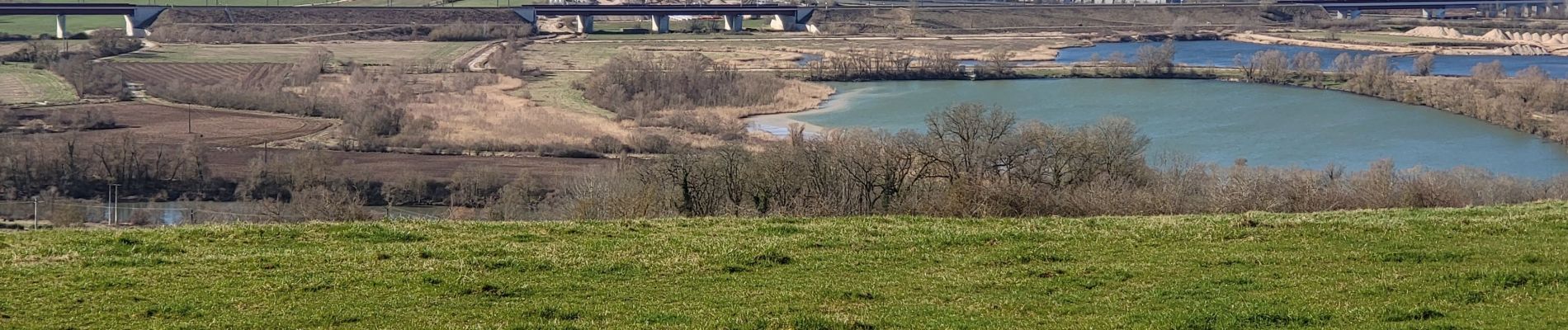 Tocht Stappen Champey-sur-Moselle - CHAMPEY - LA FRONTIERE - Photo