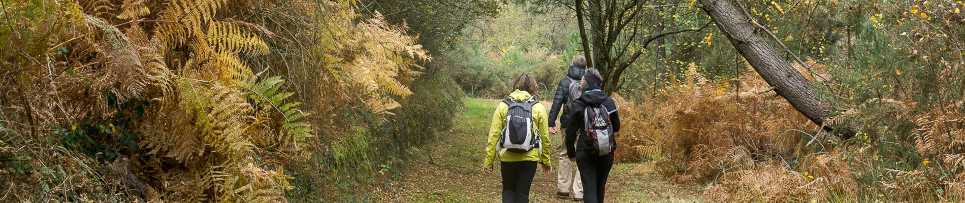 Tocht Stappen Belz - Tro Belz - Photo