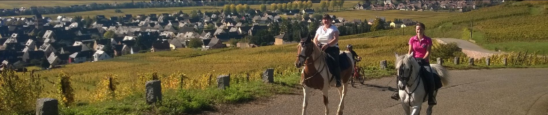 Tour Reiten Rappoltsweiler - ribeauville-kientzheim - Photo