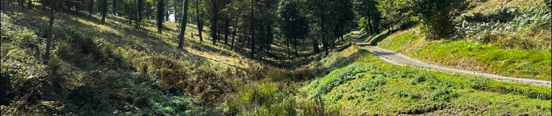 Excursión Senderismo Ciney - Sentier VERT - 5.34 Km - Chevetogne - Photo