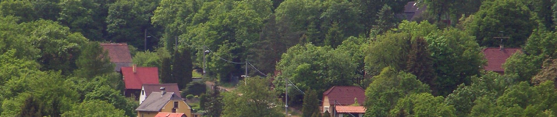 Percorso A piedi Svatý Jan pod Skalou - NS Svatojánský okruh - Photo