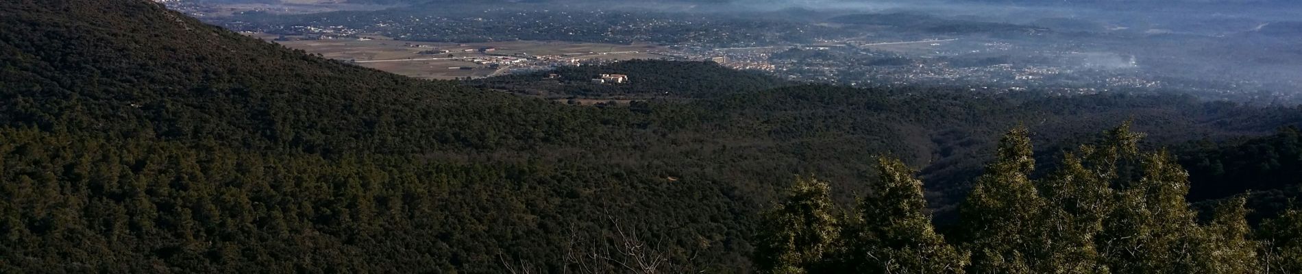 Randonnée Marche Saint-Maximin-la-Sainte-Baume - M 6 fev mont Aurelien - Photo