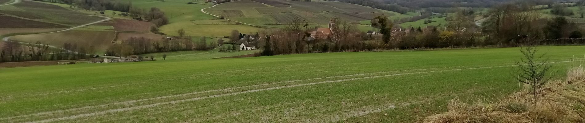 Trail Walking Vallées-en-Champagne - La Chapelle-Monthodon du 14-12-2023 - Photo