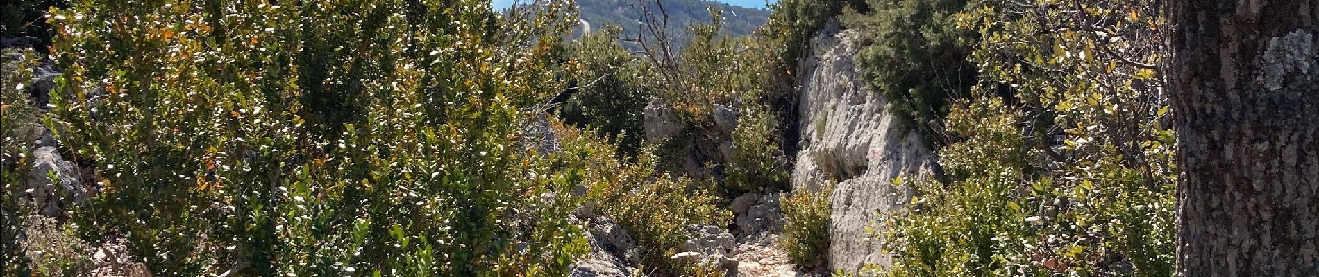 Tocht Stappen Moustiers-Sainte-Marie - Col de l’âne - crêtes de l’ourbès - Photo