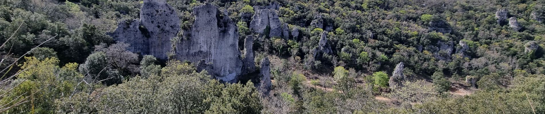 Trail Walking Signes - Rando Cancerilles 14 mai 2023 by DAL - Photo