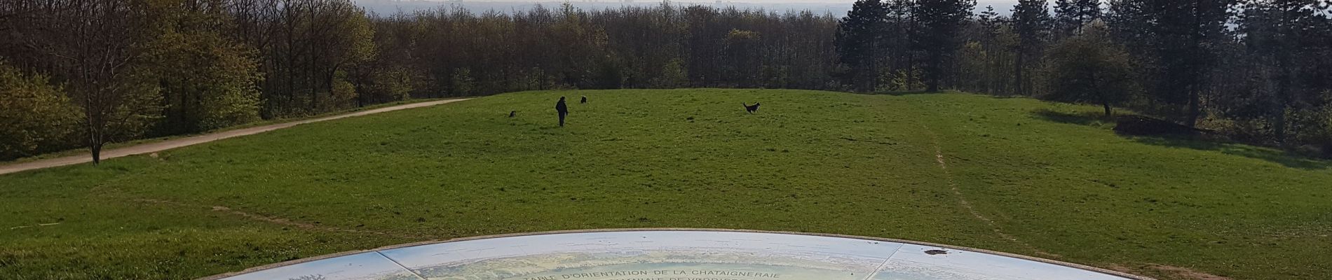 Randonnée V.T.T. Verrières-le-Buisson - Forêt de Verriéres 2 - Photo