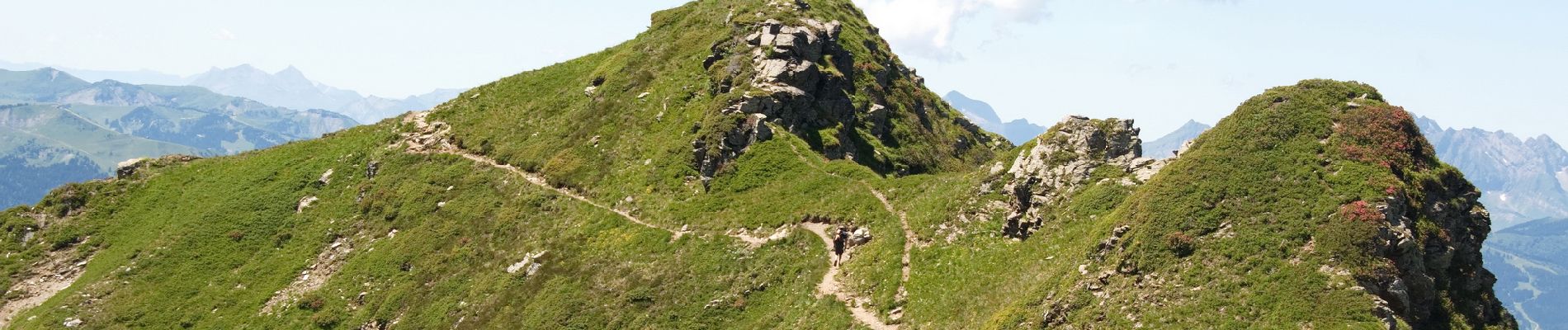 Trail Walking Les Houches - Trajet Aiguillette des Houches - Photo