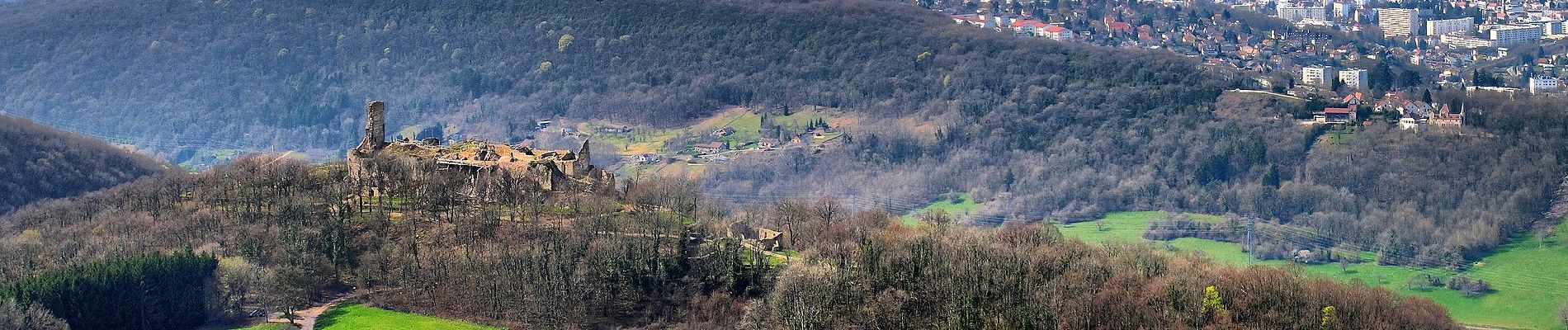 Randonnée A pied Montfaucon - Sentier des Falaises et du château - Photo