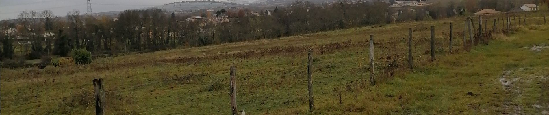 Trail Walking La Chapelle-de-Guinchay - 12 - Photo