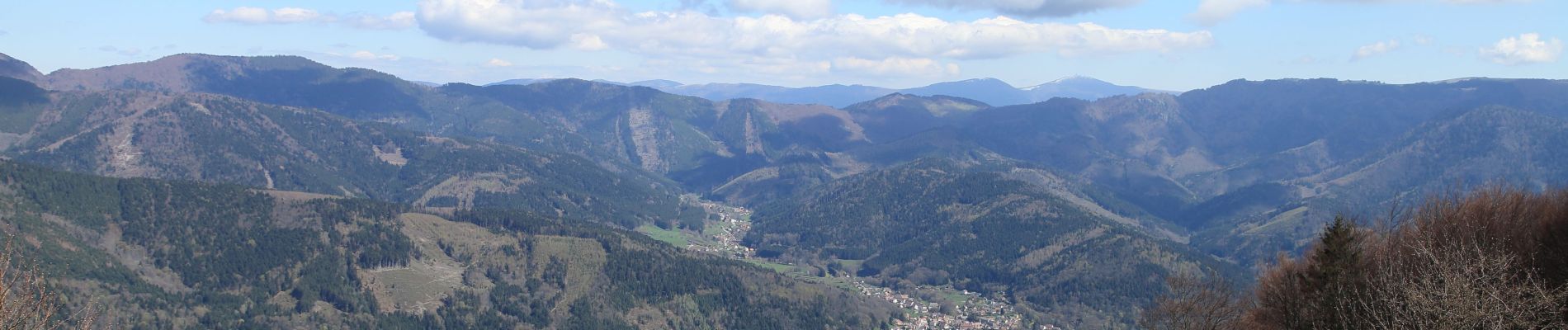 Tocht Stappen Rougemont-le-Château - BAERENKOPF - Photo