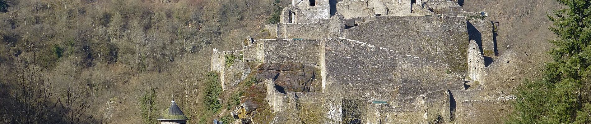 Tour Zu Fuß Schalkenmehren - Lieserpfad - Photo