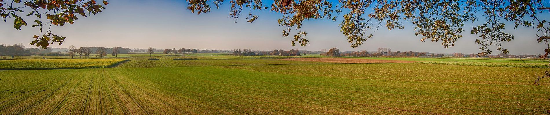 Tocht Te voet Hamminkeln - Brüner Höhen Rundweg A1 - Photo