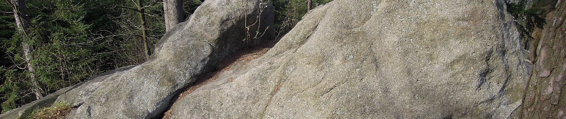 Percorso A piedi Lačnov - NS Varakovy paseky - Photo