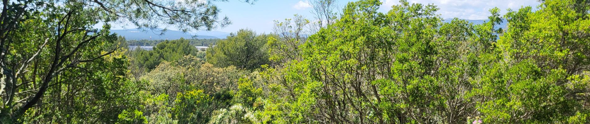 Tocht Stappen Signes - Chibron par les Armaris  - Photo