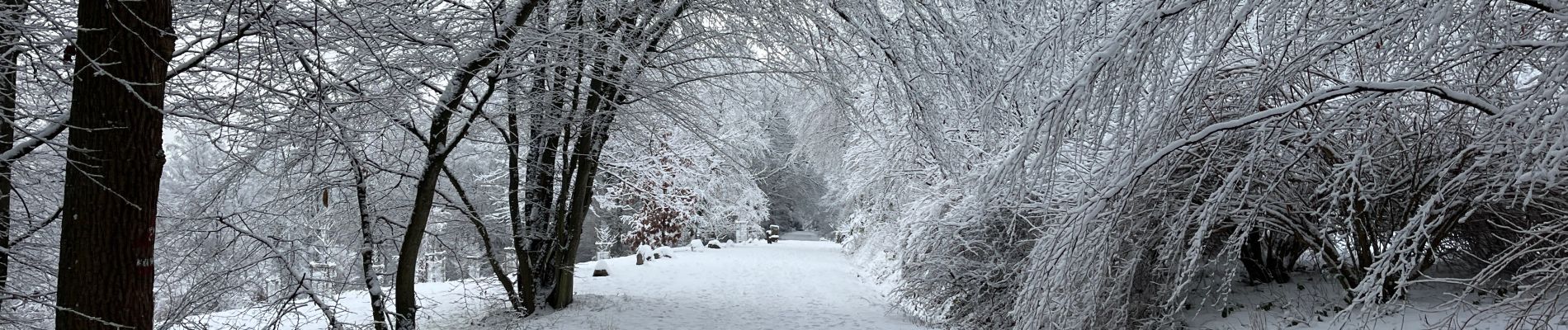 Excursión Senderismo Esneux - Bois d’Esneux sous la neige - Photo