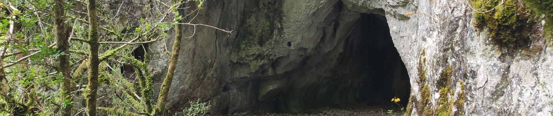 Point d'intérêt Pasques - Grotte-des-Célerons - Photo