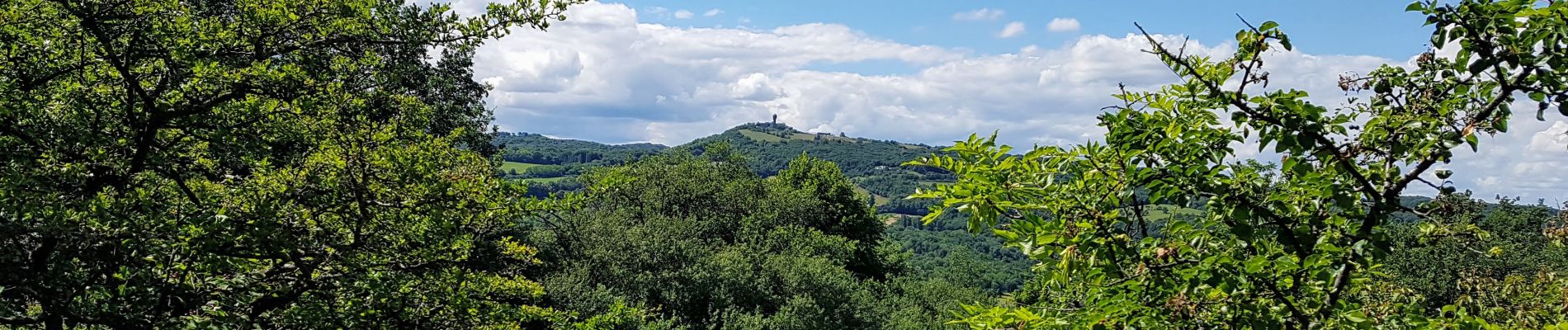 Randonnée Marche Saint-Cyr-au-Mont-d'Or - St Cyr au Mont d'Or, le sentier des rapaces - Photo