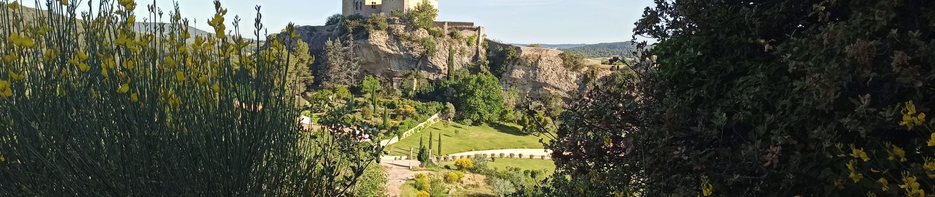 Percorso Mountainbike Vaison-la-Romaine - Vaison Seguret - Photo