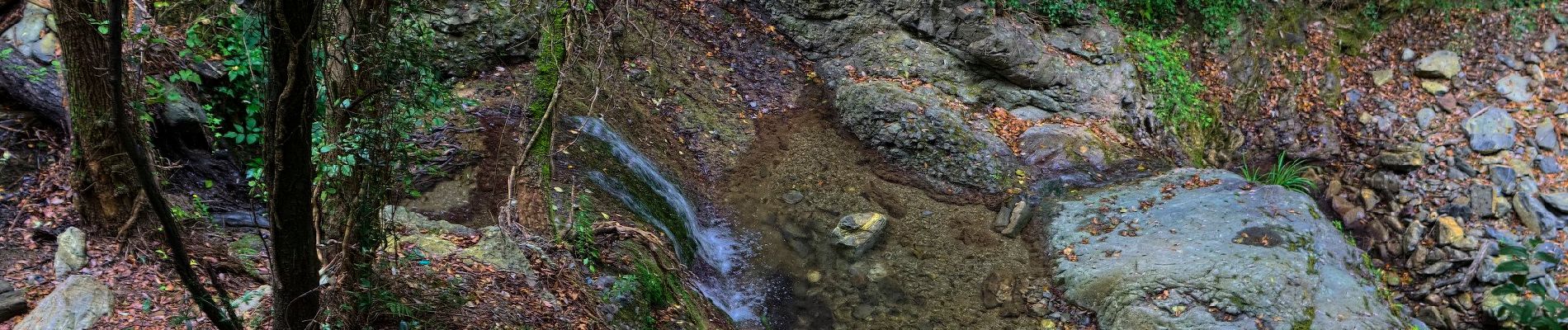 Randonnée A pied Bonassola - Reggimonti - Monte Gaggi - S.P. 64 - Monte Grumo - Photo