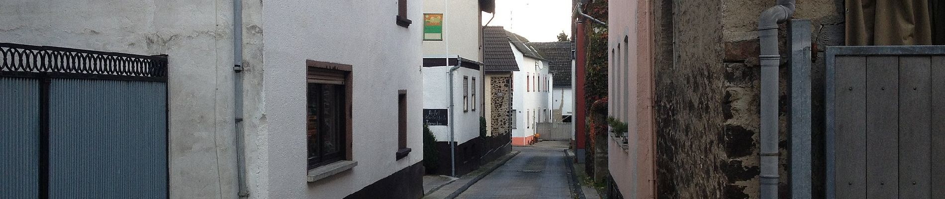 Tocht Te voet Bassenheim - Keltenrundwanderweg - Photo