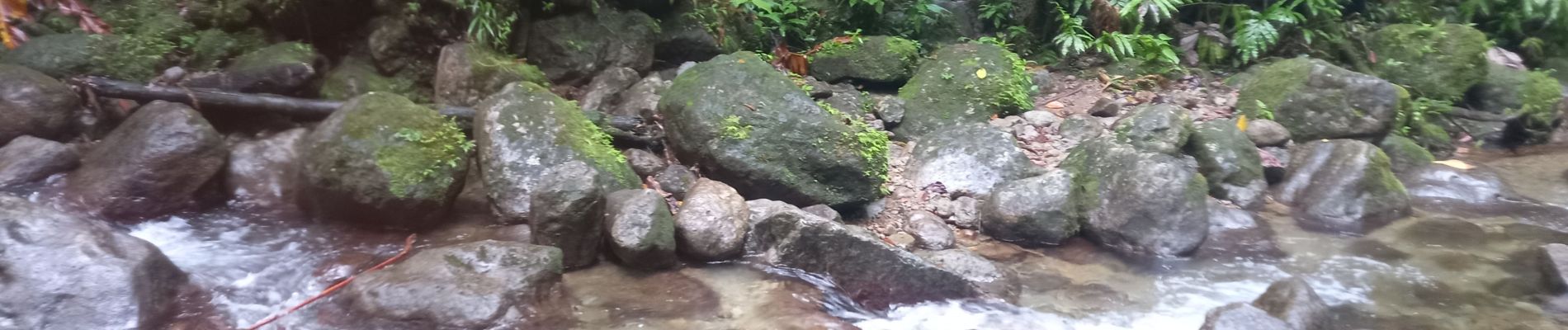 Point d'intérêt Fonds-Saint-Denis - remontée de la rivière jusqu'au gorges 2 - Photo