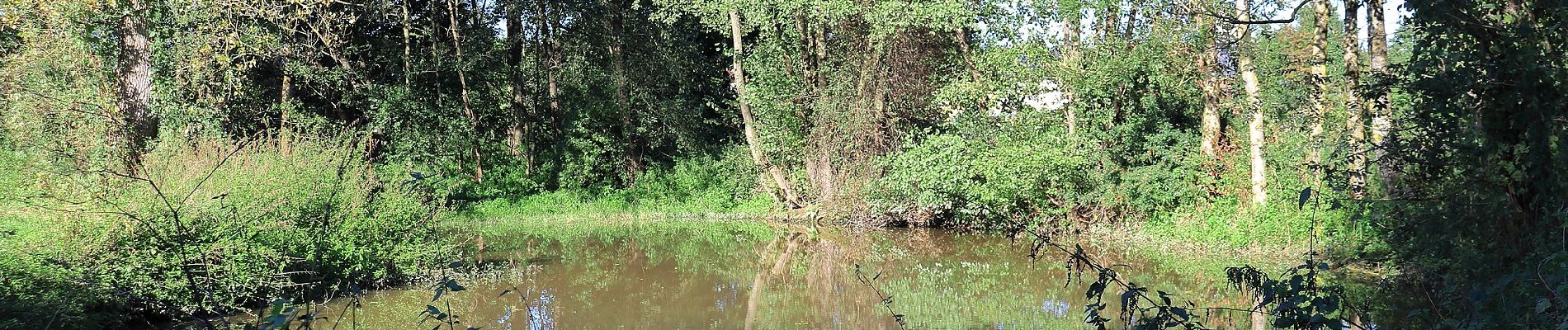 Tour Zu Fuß Taufkirchen an der Pram - Kichensteig Höbmannsbach - Photo