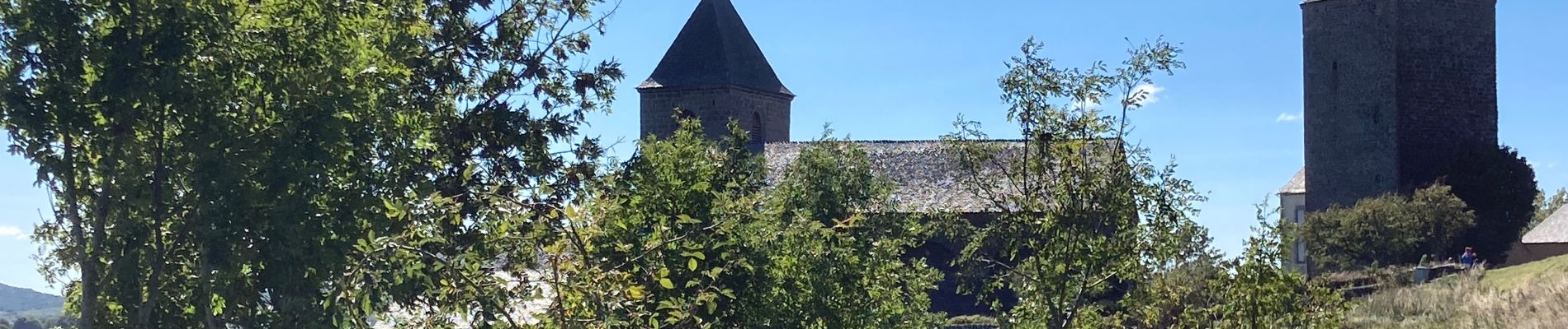 Randonnée Marche Saint-Urcize - Pas de Mathieu Aubrac  - Photo