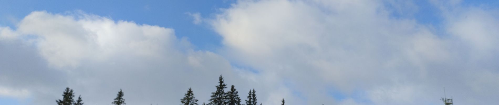 Tocht Sneeuwschoenen Chapelle-des-Bois - chez Michel -rando raquettes  - Photo