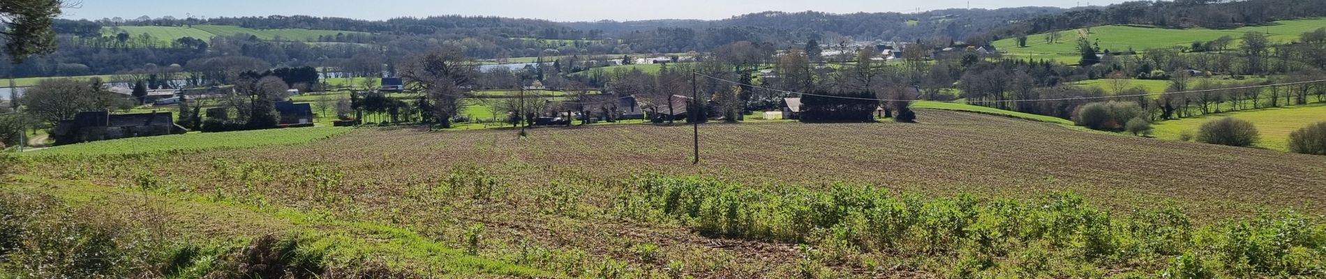 Tour Wandern Béganne - FOLLEUX2 17 MARS 2022 - Photo